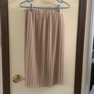 Zara Tan Midi Skirt